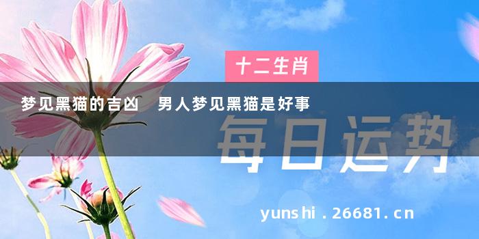 梦见黑猫的吉凶 男人梦见黑猫是好事